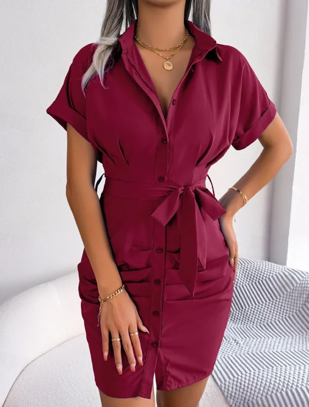 Women's Mini Dress Shirt Dress Casual Dress Summer Dress Stylish Casual Vacation Daily Date Regular Fit Plain Short Sleeve Lapel Pink Red Blue Summer Spring