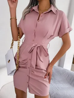 Women's Mini Dress Shirt Dress Casual Dress Summer Dress Stylish Casual Vacation Daily Date Regular Fit Plain Short Sleeve Lapel Pink Red Blue Summer Spring