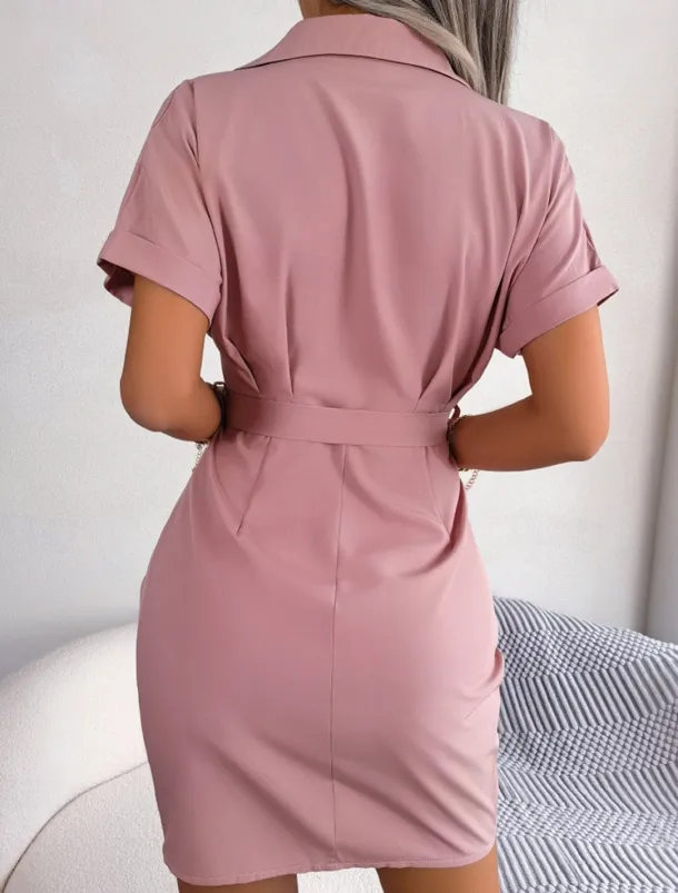 Women's Mini Dress Shirt Dress Casual Dress Summer Dress Stylish Casual Vacation Daily Date Regular Fit Plain Short Sleeve Lapel Pink Red Blue Summer Spring