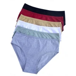 Women's Panties Bra Basic Panties Elastic WaistNightwearPolyester Solid Colored Casual Daily White Light Brown Gray Summer