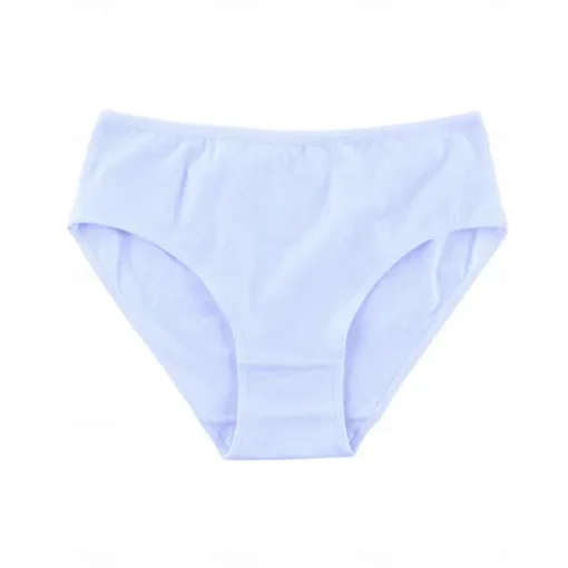 Women's Panties Bra Basic Panties Elastic WaistNightwearPolyester Solid Colored Casual Daily White Light Brown Gray Summer
