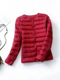 Women's Parka Warm Breathable Buttons Pocket Fashion Modern Casual Minimalism Solid Color Outdoor Street Daily Going out Single Breasted Regular Crewneck Regular Fit Long Sleeve Outerwear Wine Red