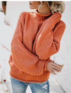 Women's Sweater Casual Soft Pure Color Ribbed Crew Neck Knitted Long Sleeve Regular Tops Knit Outdoor Daily Weekend Orange Khaki Fall Winter