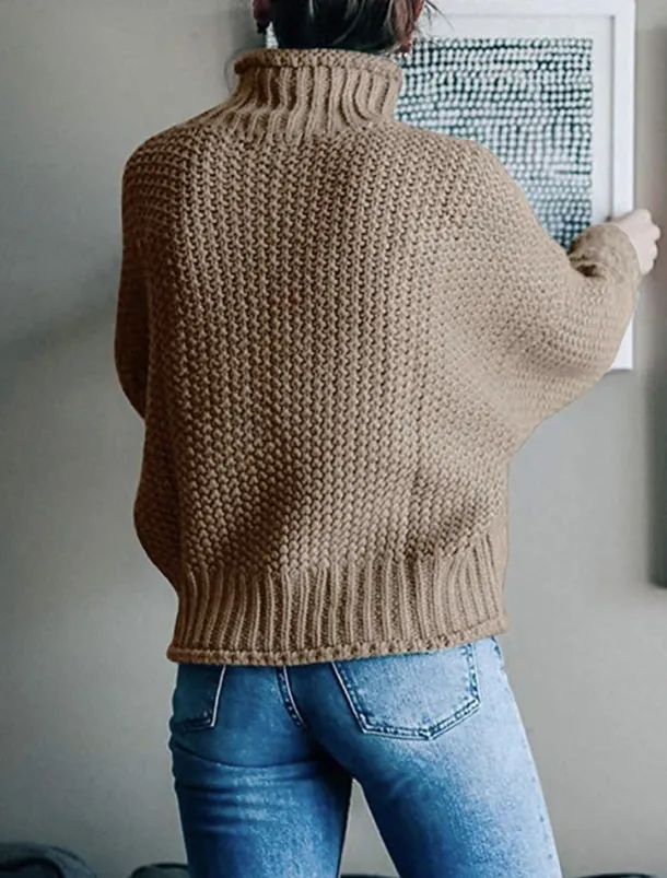 Women's Sweater Casual Soft Pure Color Ribbed Crew Neck Knitted Long Sleeve Regular Tops Knit Outdoor Daily Weekend Orange Khaki Fall Winter