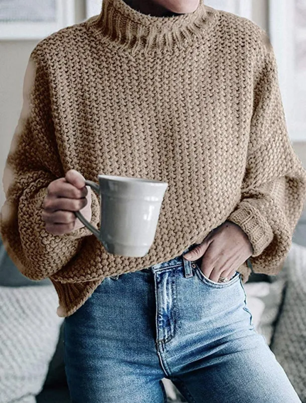 Women's Sweater Casual Soft Pure Color Ribbed Crew Neck Knitted Long Sleeve Regular Tops Knit Outdoor Daily Weekend Orange Khaki Fall Winter