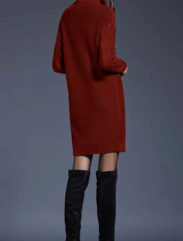 Women's Sweater Dress Casual Soft Pure Color Cable Turtleneck Knitted Long Sleeve Long Tops Knit Outdoor Daily Weekend White Wine Fall Winter