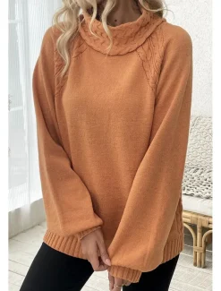 Women's Sweater Elegant Casual Soft Pure Color Ribbed Turtleneck Knitted Long Sleeve Regular Tops Knit Outdoor Daily Weekend Orange Fall Winter