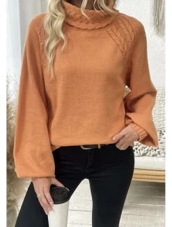 Women's Sweater Elegant Casual Soft Pure Color Ribbed Turtleneck Knitted Long Sleeve Regular Tops Knit Outdoor Daily Weekend Orange Fall Winter
