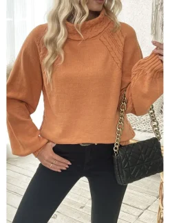 Women's Sweater Elegant Casual Soft Pure Color Ribbed Turtleneck Knitted Long Sleeve Regular Tops Knit Outdoor Daily Weekend Orange Fall Winter