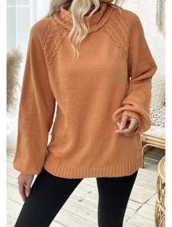Women's Sweater Elegant Casual Soft Pure Color Ribbed Turtleneck Knitted Long Sleeve Regular Tops Knit Outdoor Daily Weekend Orange Fall Winter