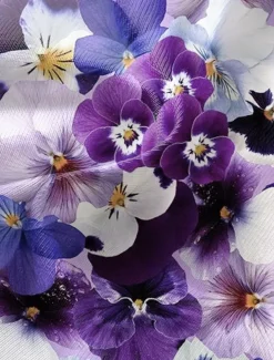 Women's T Shirt Fashion Floral Print Short Sleeve Regular Tops V Neck Daily Navy Blue Blue Purple Summer