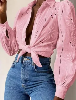 Women's White Elegant Lace Tops Eyelet Blouse Casual Solid Color Lace Lantern Sleeve Long Sleeve Regular Tops Shirt Collar Daily Romantic Petite Tops Summer Holiday Wear White Pink Green Spring Fall