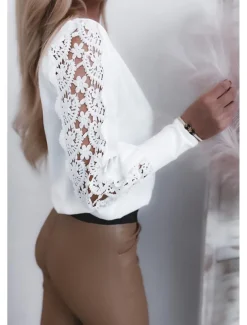 Women's White Elegant Lace Tops Eyelet Blouse Stylish Modern Lace Long Sleeve Regular Tops V Neck Work Daily Romantic Petite Tops Summer Holiday Wear White Spring Fall